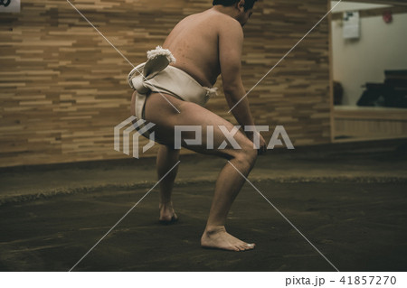 Sumo wrestling 41857270