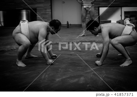 Sumo wrestling 41857371