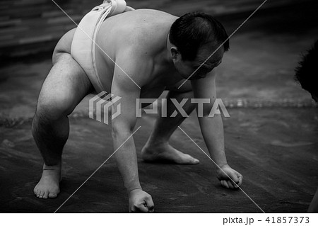 Sumo wrestling 41857373