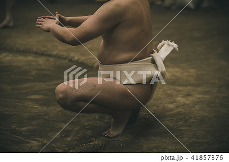 Sumo wrestling Sumo wrestling 41857376
