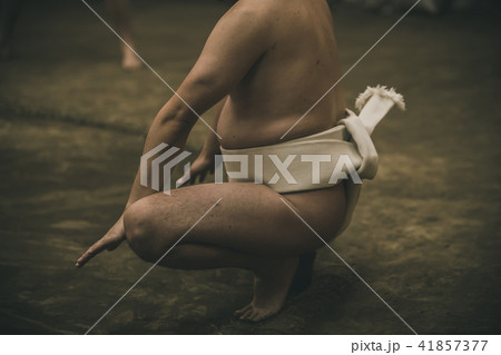 Sumo wrestling Sumo wrestling 41857377