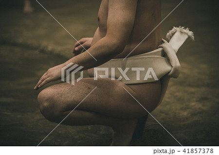 Sumo wrestling Sumo wrestling 41857378