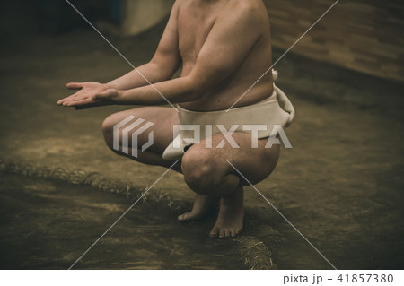 Sumo wrestling Sumo wrestling 41857380