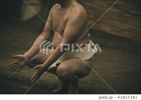 Sumo wrestling Sumo wrestling 41857381