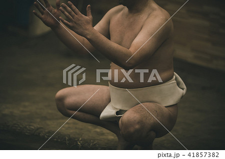 Sumo wrestling Sumo wrestling 41857382