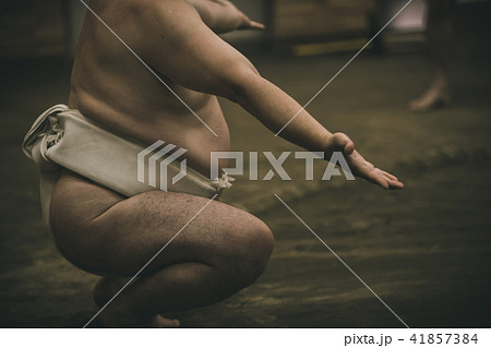 Sumo wrestling 41857384