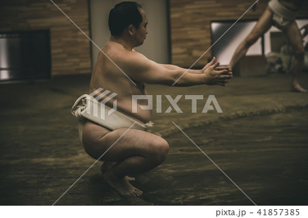 Sumo wrestling Sumo wrestling 41857385