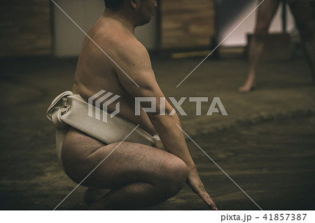 Sumo wrestling Sumo wrestling 41857387