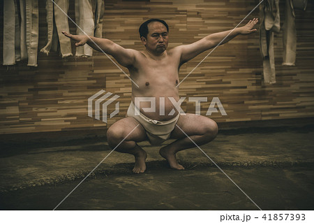 Sumo wrestling Sumo wrestling 41857393