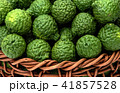 Citrus hystrix, fruit for herbal medicine 41857528