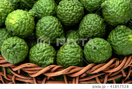 Citrus hystrix, fruit for herbal medicine Citrus hystrix, fruit for herbal medicine 41857528