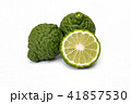 Bergamot fruit kaffir limes on a white background 41857530