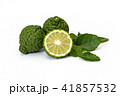 Kaffir limes, bergamot fruit on white background 41857532