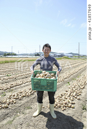 収穫 収穫 41857649