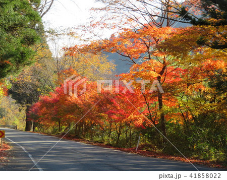 秋の訪れ 秋の訪れ 41858022