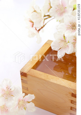 枡酒と桜 41858109