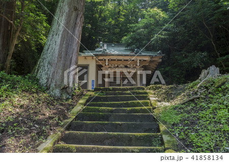 住吉神社（逗子市小坪） 41858134