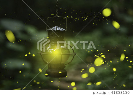 昆虫 虫 蟲 41858150