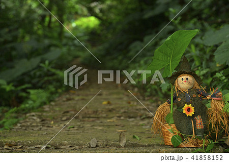 爽快 爽やか リフレッシュ 41858152