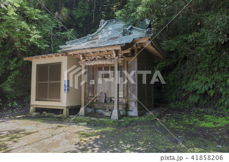 住吉神社（逗子市小坪） 41858206