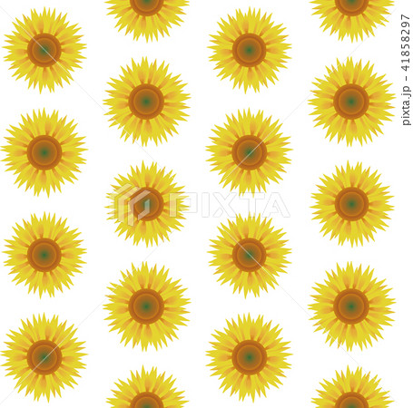 ヒマワリ 41858297