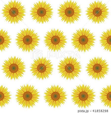 ヒマワリ 41858298