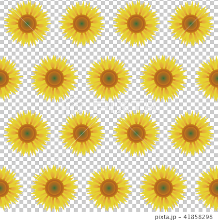 ヒマワリ 41858298