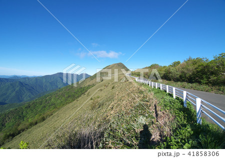 瓶ヶ森林道 41858306