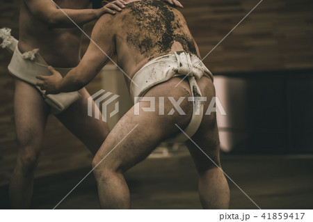 Sumo wrestling 41859417