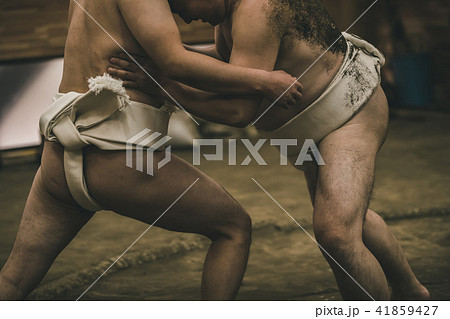 Sumo wrestling Sumo wrestling 41859427