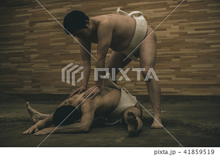 Sumo wrestling 41859519