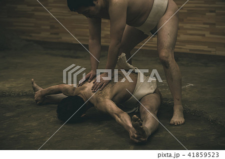 Sumo wrestling 41859523