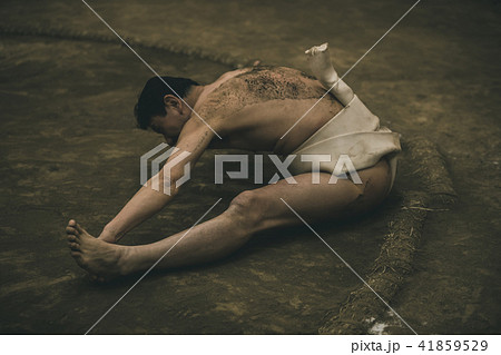 Sumo wrestling Sumo wrestling 41859529