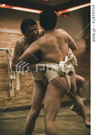 Sumo wrestling Sumo wrestling 41859534