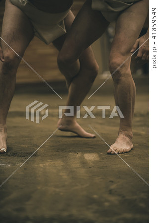 Sumo wrestling 41859549