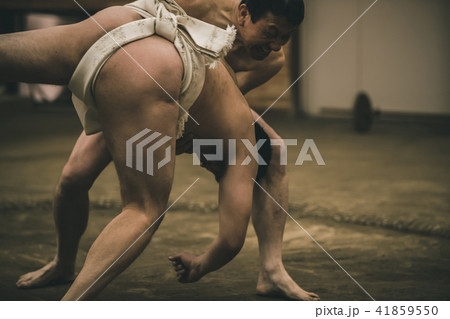 Sumo wrestling 41859550
