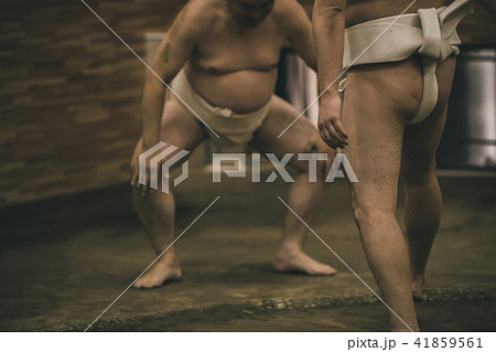 Sumo wrestling Sumo wrestling 41859561
