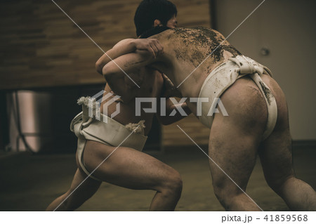Sumo wrestling Sumo wrestling 41859568