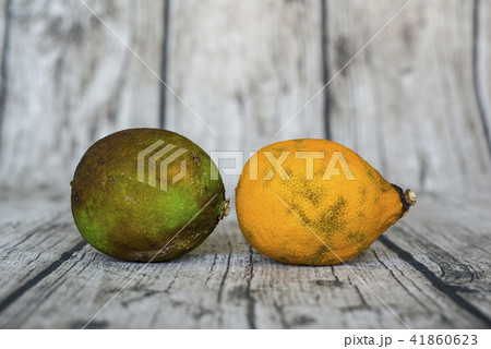rotten green and yellow lemon put on wooden table rotten green and yellow lemon put on wooden table 41860623
