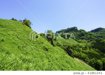 らくだ山 41861341