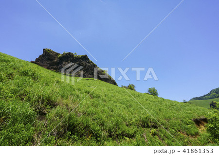 らくだ山 41861353