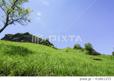 らくだ山 41861355