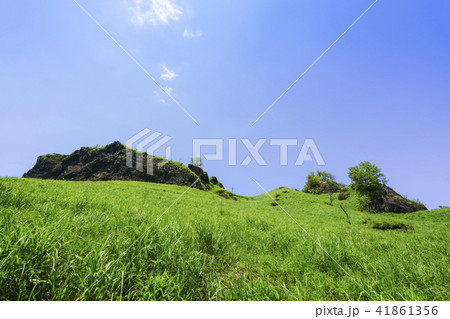 らくだ山 41861356