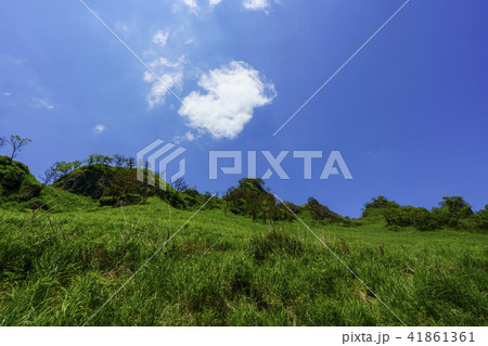 らくだ山 41861361