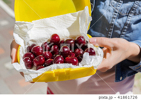 Woman giving lunchbox with fresh ripe tasty cherries. Girls hand holding box with organic sweet Woman giving lunchbox with fresh ripe tasty cherries. Girls hand holding box with organic sweet 41861726