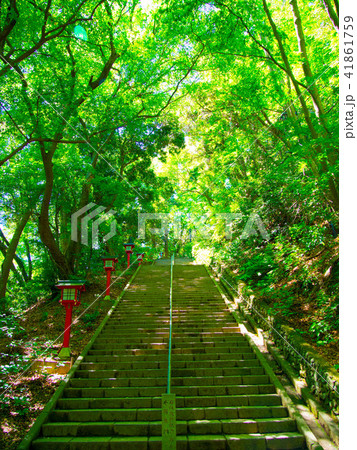 高尾山登山道 41861759