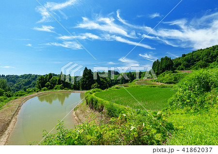 初夏の山古志の棚田と棚池 初夏の山古志の棚田と棚池 41862037