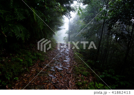 熊野古道小辺路 41862413