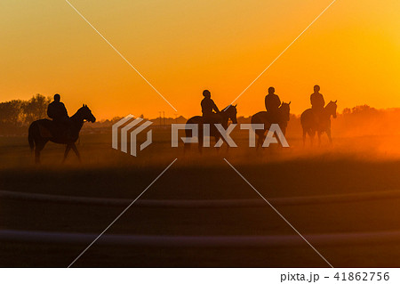 Race Horses Riders Training Dawn Race Horses Riders Training Dawn 41862756