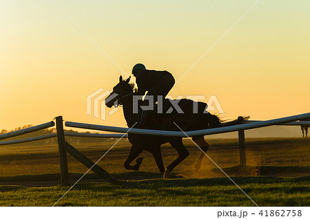 Race Horse Rider Running Training Dawn Race Horse Rider Running Training Dawn 41862758